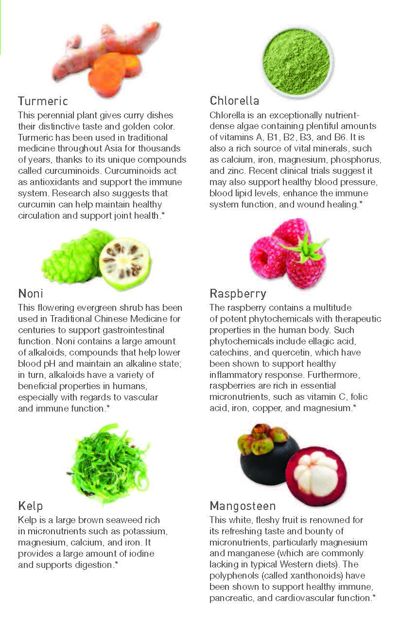 NutriDyn Fruits & Greens - Chocolate Peppermint