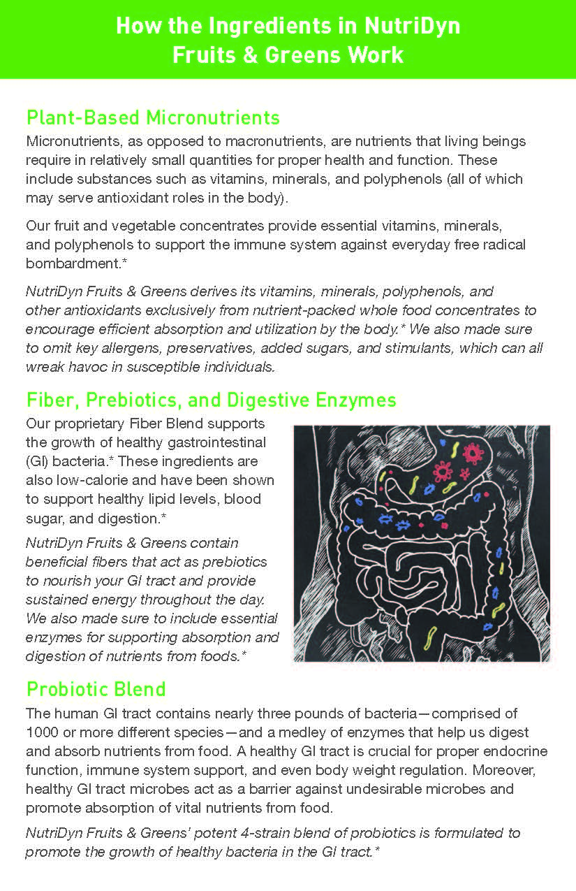 NutriDyn Fruits & Greens - Chocolate Peppermint